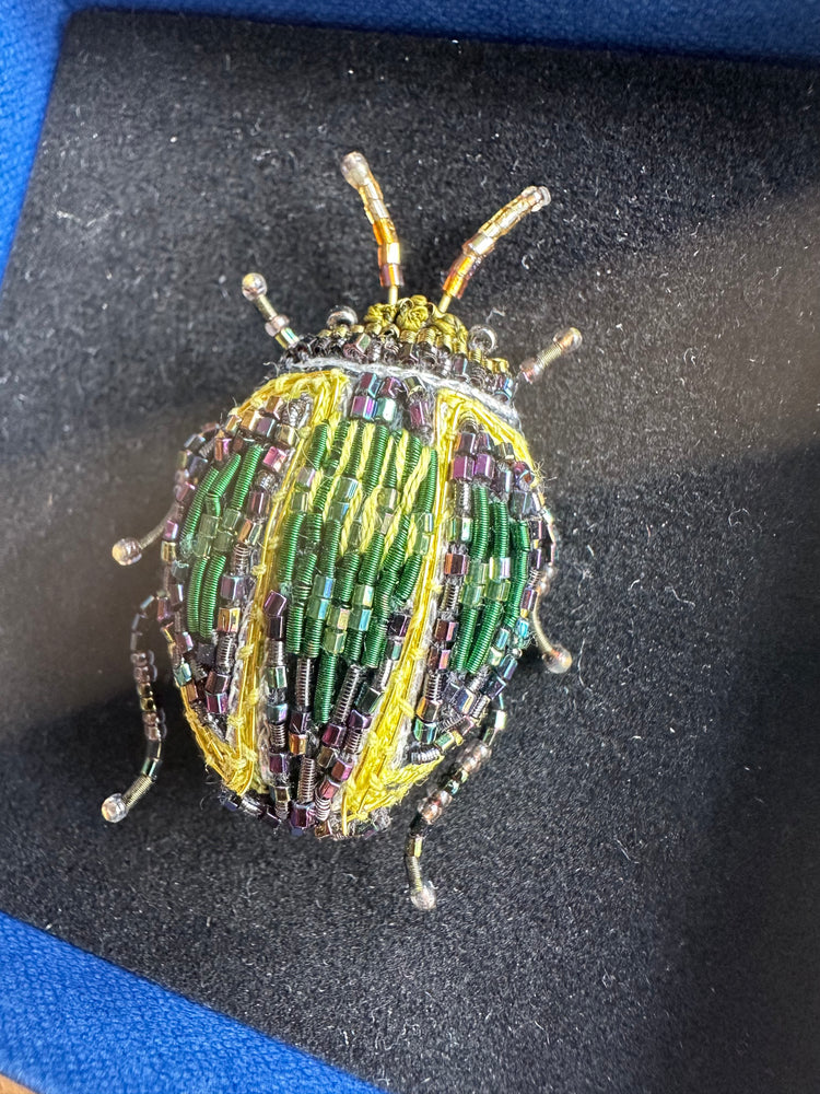 Trovelore Tortoise Beetle Brooch