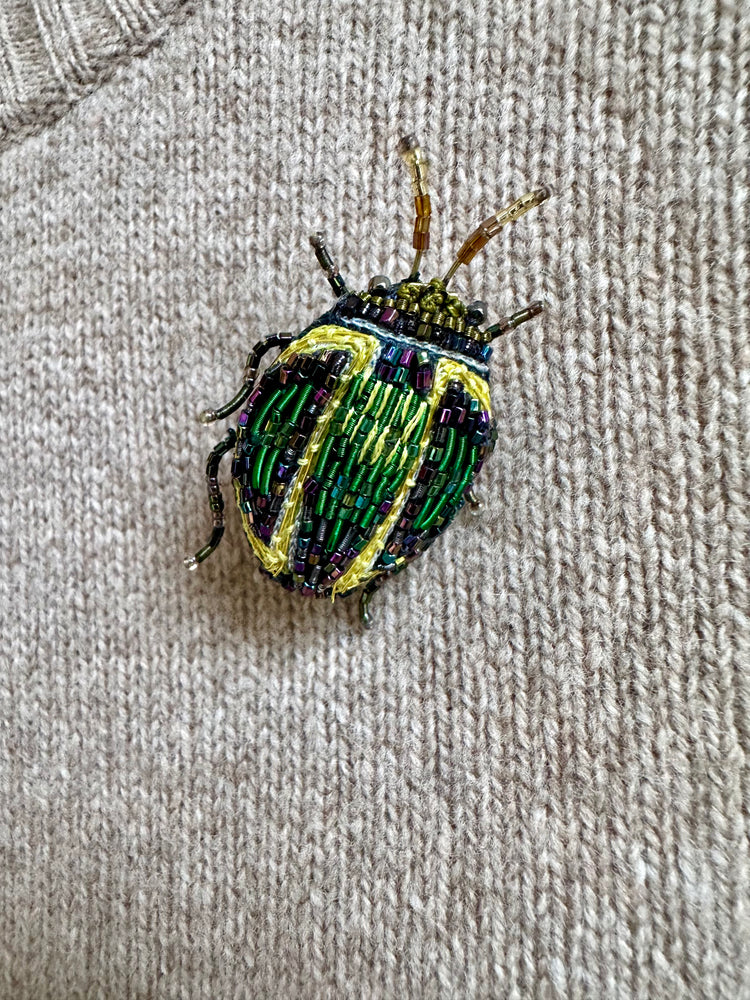 Trovelore Tortoise Beetle Brooch