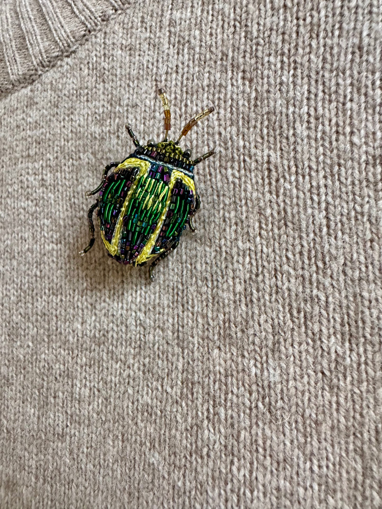 Trovelore Tortoise Beetle Brooch
