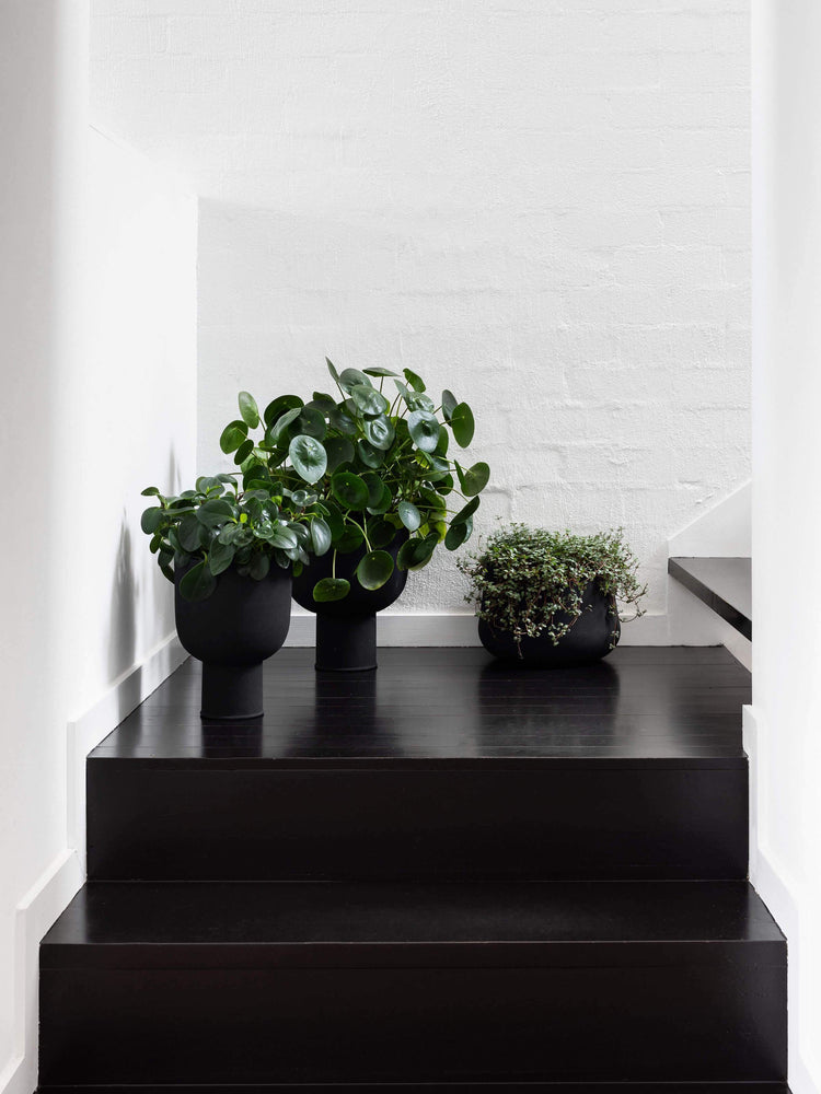 L&M Home Mona Curve Pot