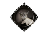 Ibride Galerie De Portraits Square Tray - Urbin Lioness