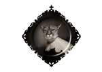 Ibride Galerie De Portraits Square Tray - Urbin Lioness