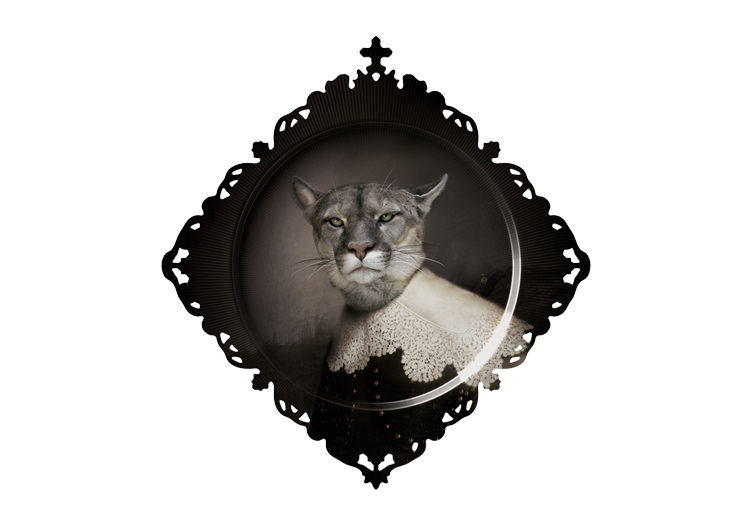 Ibride Galerie De Portraits Square Tray - Urbin Lioness