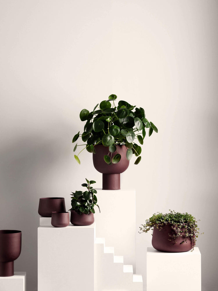 L&M Home Mona Curve Pot