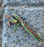 Trovelore Brooch Green Mantis